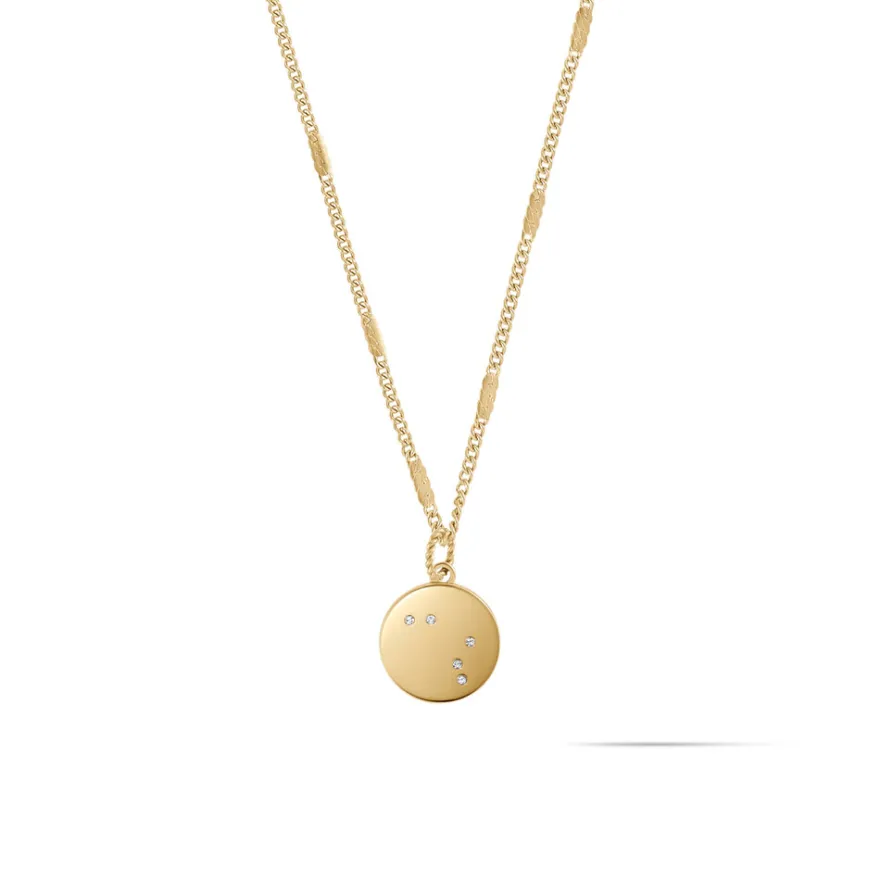 Women MVMT Necklaces^Zodiac Charm - Aries